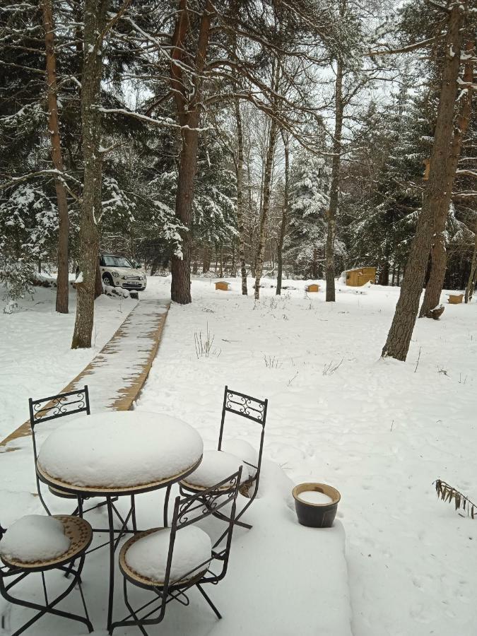 Chalet Cricri Domaine De La Mamounette Champclause Экстерьер фото
