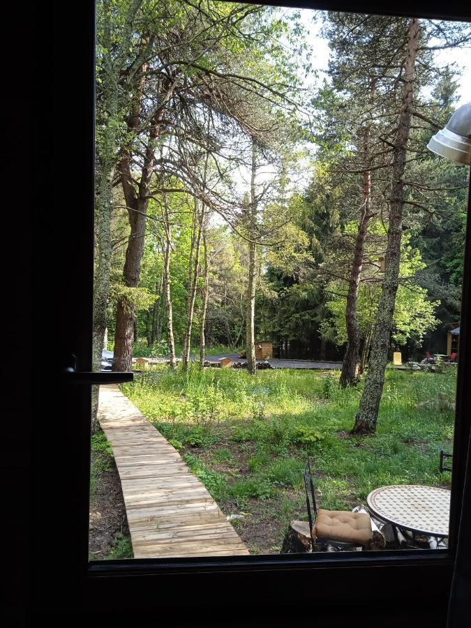 Chalet Cricri Domaine De La Mamounette Champclause Экстерьер фото