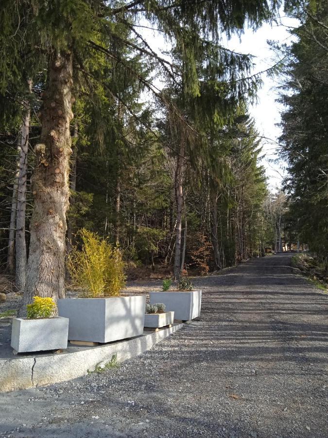 Chalet Cricri Domaine De La Mamounette Champclause Экстерьер фото
