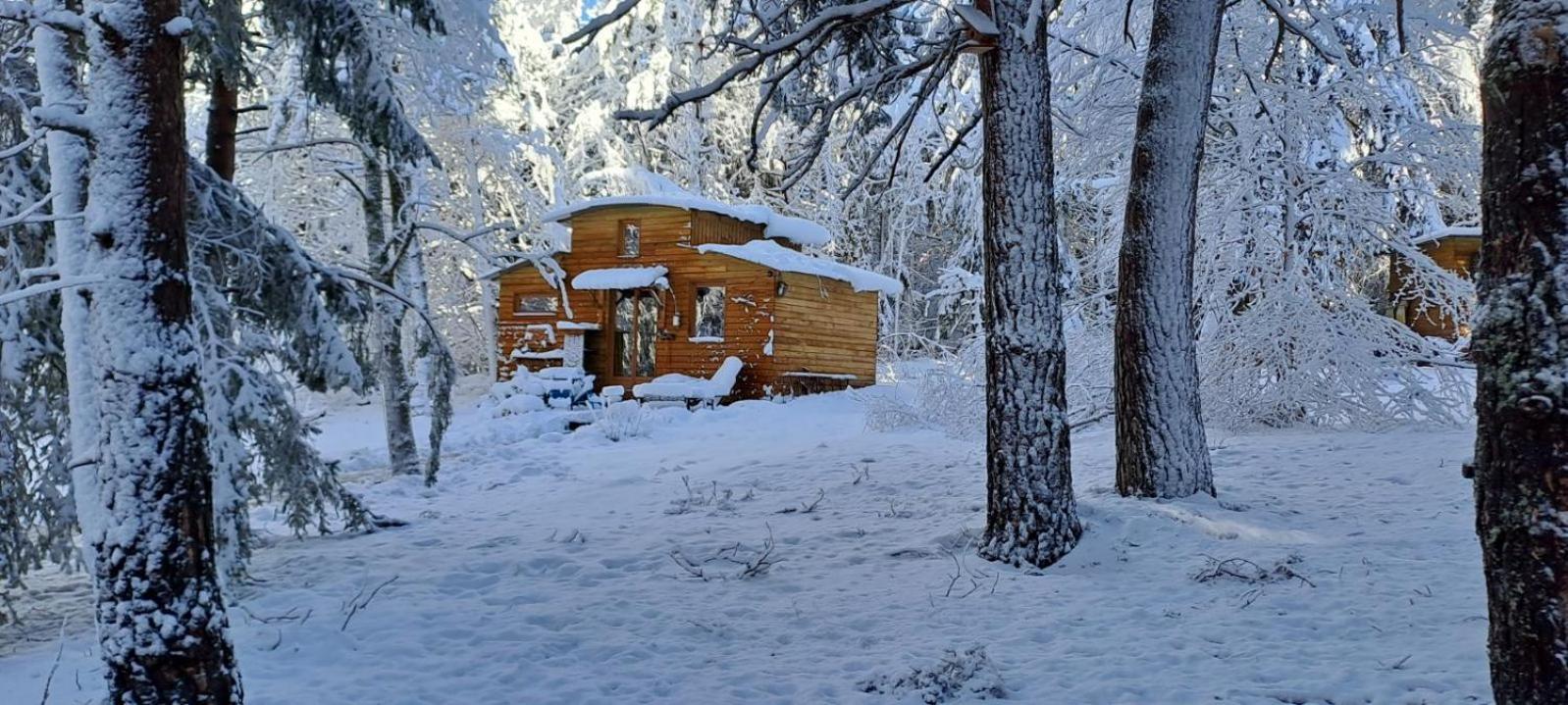 Chalet Cricri Domaine De La Mamounette Champclause Экстерьер фото